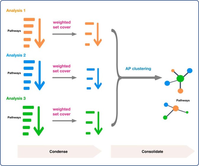 Article Summary Diagram