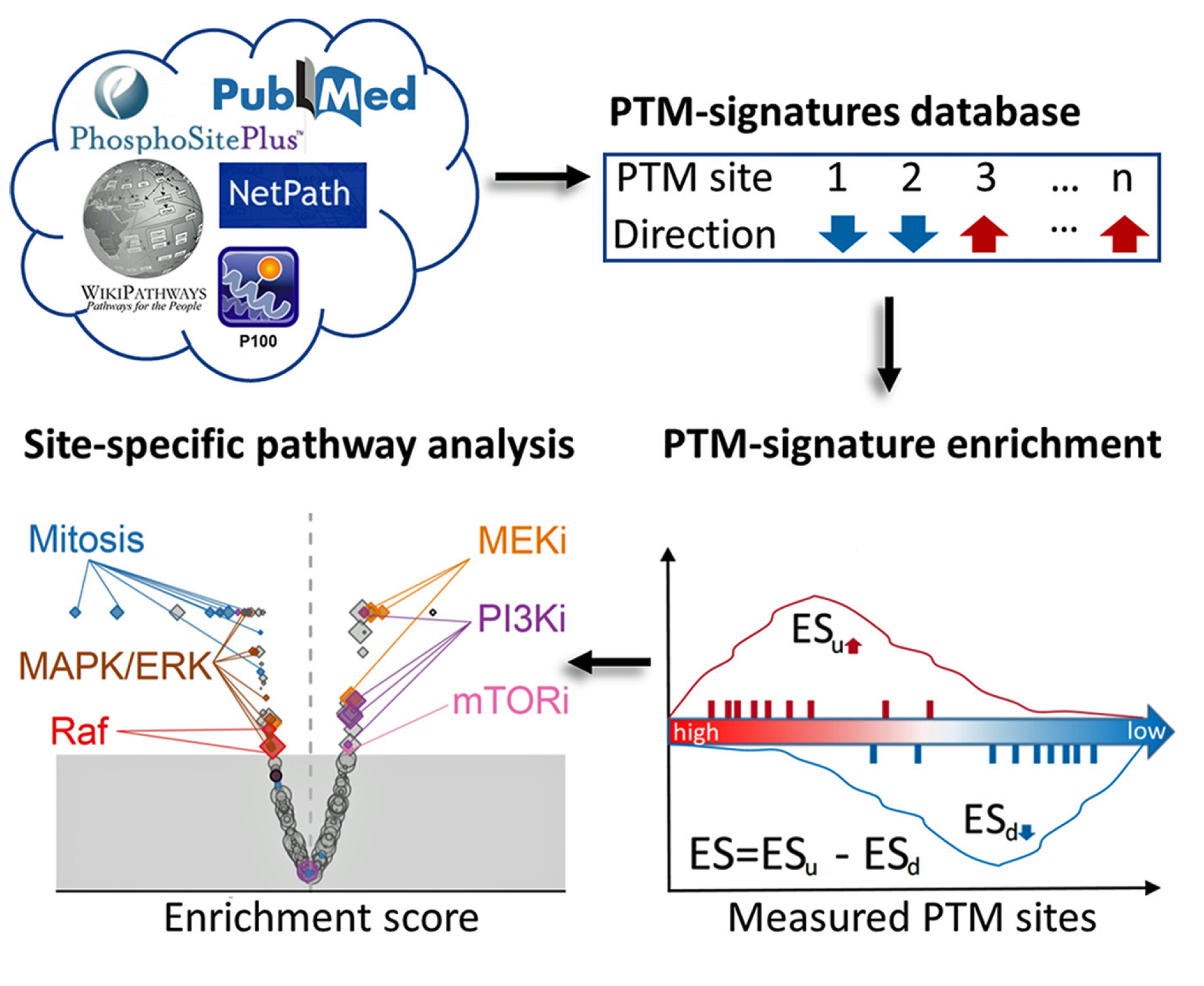 PTMsigDB