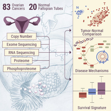 proteomic HGSC tumor analysis